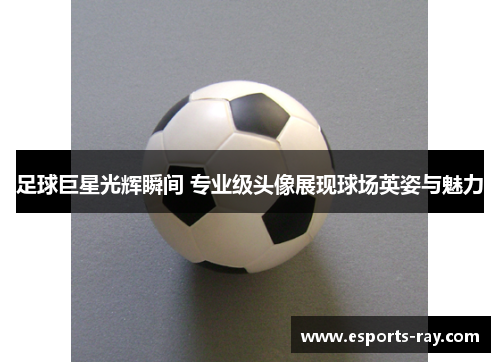 足球巨星光辉瞬间 专业级头像展现球场英姿与魅力 足球巨星光辉瞬间 专业级头像展现球场英姿与魅力