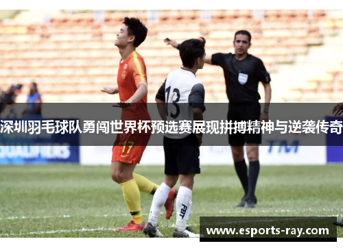 深圳羽毛球队勇闯世界杯预选赛展现拼搏精神与逆袭传奇