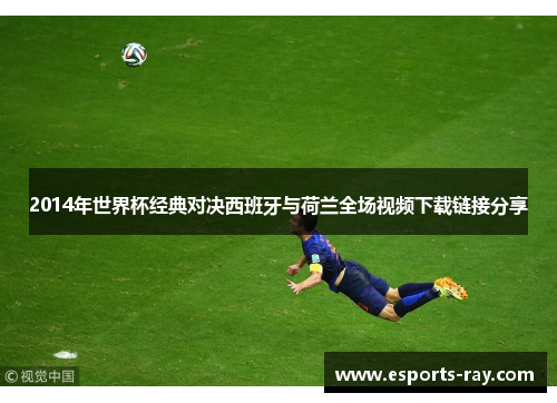 2014年世界杯经典对决西班牙与荷兰全场视频下载链接分享