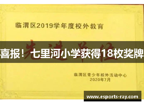喜报！七里河小学获得18枚奖牌